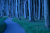 Young couple walking through Ghost wood (Gespensterwald), a beech tree wood at the coast of the Baltic Sea, in the night, Nienhagen, Rostock district, Mecklenburg-Western Pomerania, Germany