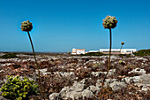 Fort, Fortaeza de Sagres, Sagres, Costa Vicentina, Algarve, Portugal