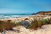 Dunes and beach, Praia da Amoreira, Aljezur, Costa Vicentina, Algarve, Portugal