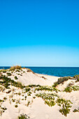 Beach and dunes, Ilha de Tavira, Algarve, Portugal