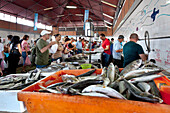 Fish market, market hall, Olhao, Algarve, Portugal