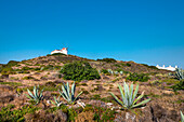 Windmühle, Carrapateira, Costa Vicentina, Algarve, Portugal