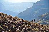Hikers follow a route along the Colorado River that connect Tapeats Creek and Thunder River to Deer Creek in the Grand Canyon outside of Fredonia, Arizona November 2011.  The 21.4-mile loop starts at the Bill Hall trailhead on the North Rim and descends 2
