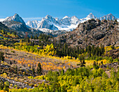 Fall Aspen below the Sierra crest, Bishop area, California