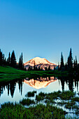 Mount Rainier reflected in pond at sunrise, Mount Rainier National Park