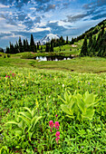 Mount Rainier at sunrise with pond and fresh spring wildflowers in foreground