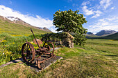 Old farming equipment at a farm house stone wall, north Iceland.