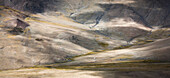 The nomadic grazing camp of Tisaling at 5000m inhabited by 'Changpas' (the nomadic migratory shepherds of Tibetan origin who use the land for grazing yaks, sheep, goats, and horses), Ladakh, India.