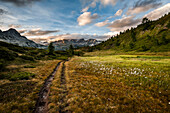 Landscpe of muontains in Devero Natural Park, Lepontine Alps.