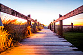 Wooden boardwalk through tall grass