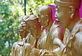 Buddha statues at Ten Thousand Buddhas Monastery, Shatin, New Territories, Hong Kong, China, Asia