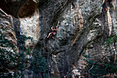 A climber scaling limestone cliffs in the jungle at Serra do Cipo, Minas Gerais, Brazil, South America