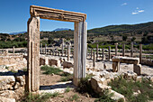 Ruined colonnaded Main Street, Patara, near Kalkan, Lycia, Antalya Province, Mediterranean Coast, Southwest Turkey, Anatolia, Turkey, Asia Minor, Eurasia