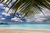 A palm branch juts out into the Caribbean Sea on Valley Church Beach one of the lesser known beaches of the Caribbean, Antigua, Leeward Islands, West Indies, Caribbean, Central America