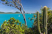 Panoramic view of Spearn Bay from a hill overlooking the quiet lagoon visited by many sailboats, St. Johns, Antigua, Leeward Islands, West Indies, Caribbean, Central America
