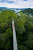 Jungle canopy walk at Ulu Temburong National Park, Brunei