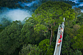 Jungle canopy walk at Ulu Temburong National Park, Brunei