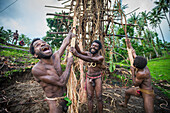 Pentecost land divers prepare the tower for jumping, Pentecost Island, Vanuatu