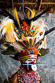 Eastern Highland performer, Goroka Show, Goroka, Eastern Highlands, Papua New Guinea