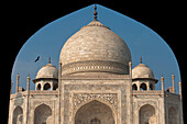 Detail of the Taj Mahal, Agra, India