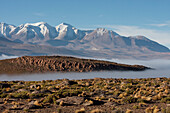 Aucanquilcha Volcano & Salar De Alconcha Salt Pan Covered By Fog, Antofagasta Region, Chile