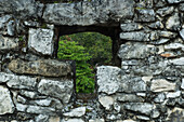 Window In The Palace, Palenque, Chiapas, Mexico