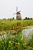 Windmill, Built Around 1740 Along Nieuwe Waterschap To Drain The Excess Water From The Alblasserwaard Polders, Kinderdijk, Netherlands