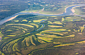 Aerial view of the Kobuk River surrounded by wetlands and lakes, Arctic Alaska, summer