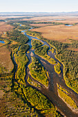 Aerial view of streams and the surrounding trees, Arctic Alaska, Summer