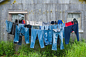 Laundry hung out to dry outside a home in the village of Akiachak, Summer, Southwest Alaska, USA