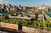 experimental garden on the roof, agroparistech school, paris 5th arrondissement