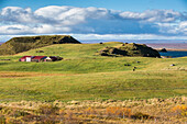 a farm in skutustadir, a region of pseudo-craters situated to the south of myvatn lake, northern iceland in the area around the volcano krafla, iceland, europe
