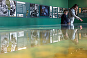 exhibition space recounting the history of steel and wire works in normandy, factory of the manufacture bohin, living conservatory of the needle and pin, saint-sulpice-sur-risle, orne (61), france