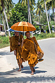 buddhist monks protected from the sun by their umbrellas, bang saphan, thailand, asia