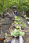 Telina Island Village Market, Marovo Lagoon, Solomon Islands