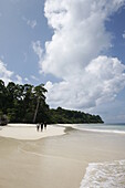 'Turtle Beach' Tauchspot, Bootstour mit Barefoot Scuba, Küstenwald ohne Palmen, Nordwestküste, Havelock Island, Andaman Islands, Union Territory, India
