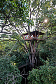 Treehouse Room 601, Treehouse 1 at Vythiri Resort near Lakkidi, Wayanad, northeast Kozhikode, Kerala, Western Ghats, India