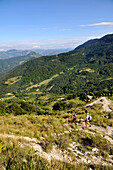 France, Rhone-Alpes, Provencal Drome, trekking in forest of Saou, landscape