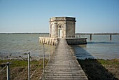 France, Charente-Maritime, Poitou-Charente, Charente, Saint Nazaire, Lupin fountain (1676)