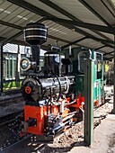 France, Belgium, Bois de Boulogne, Jardin d'Acclimatation, locomotive of the Petit train (Small train)
