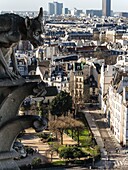 Notre-Dame's gargoyles