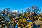 Japan,Mount Fuji from Oshino Mura