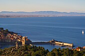 Europe, France, Languedoc Roussillon, Pyrenees Orientales, Collioure