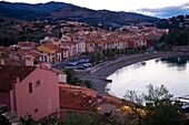 Europe, France, Languedoc Roussillon, Pyrenees Orientales, Collioure at dusk