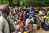 Mali, Dogon country, villages along Bandiagara cliff, weekly market
