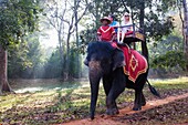 Cambodia,Siem Reap,Angkor Wat,Bayon Temple,Couple Riding Elephant