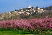 France,Drôme(26),Mirmande town labelised the Most Beautiful Villages of France