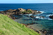 Beach in Salvador da Bahia, the city of the Holy Saviour of the Bay of all Saints on the northeast coast of Brazil , South America