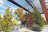 France,Paris, 15th arrondissement, Parc André Citroën, Greenhouses, Southern Mediterranean plants