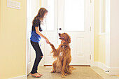 Caucasian girl training dog to shake paw